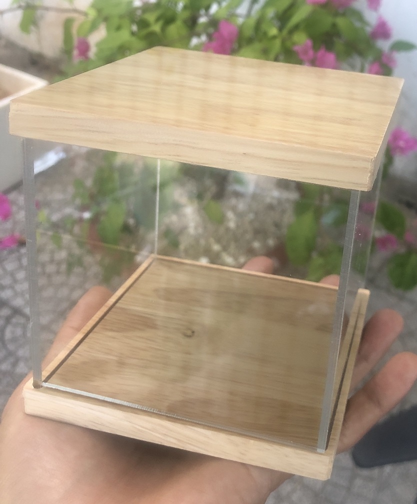 Hộp Trưng Bày